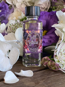 Wild Witches